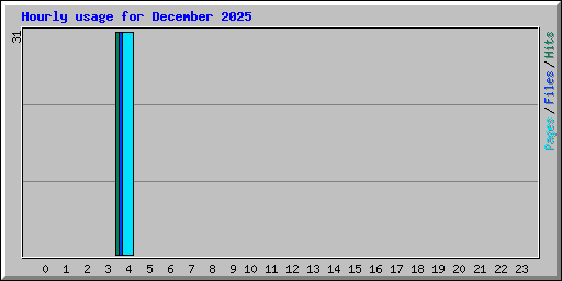 Hourly usage for December 2025
